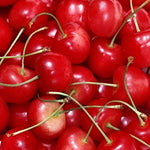 Prunus Summer Sun Cherry Fruit Tree 5-6ft Supplied In A 7.5 Litre Pot