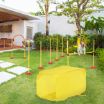 Outdoor 4 Pc Dog Pet Agility Training Garden Starter Obstacle Set For Dog