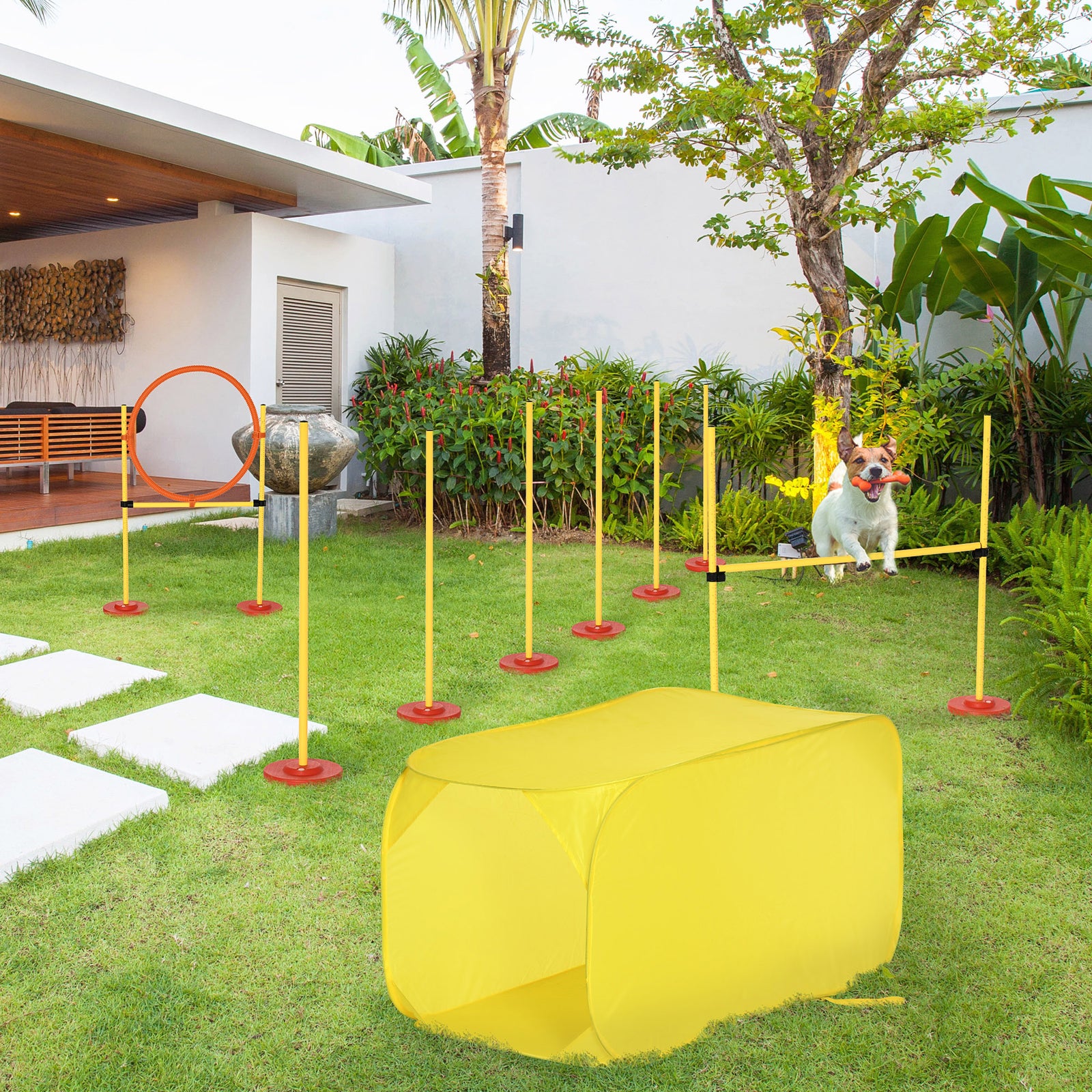 Outdoor 4 Pc Dog Pet Agility Training Garden Starter Obstacle Set For Dog