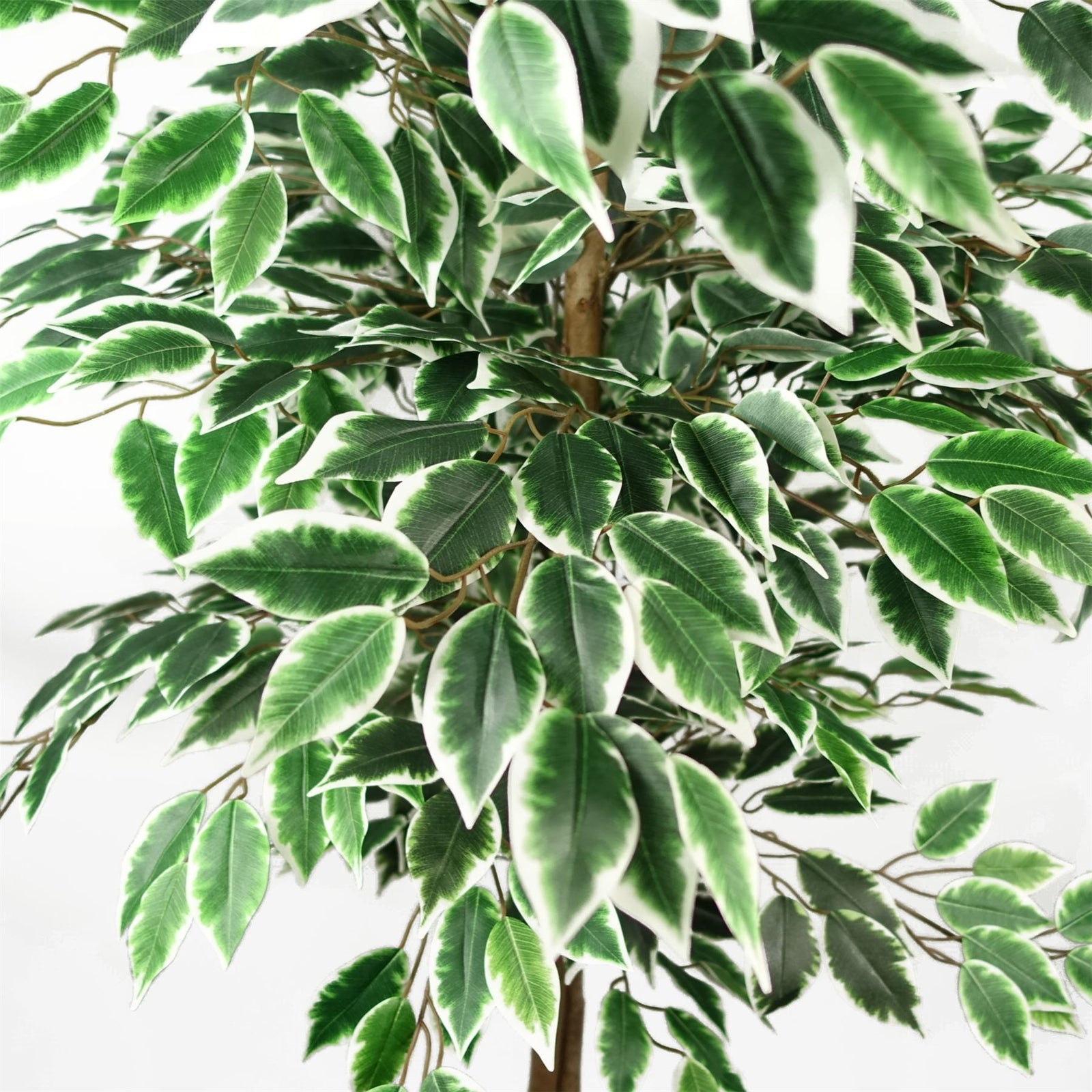 150cm Artificial Silk Ficus Tree