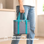 Livivo Thermal Cooler Bag 10l Picnic Beach Travel Lunch Bag