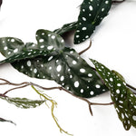 6 X 110cm Artificial Hanging Trailing Begonia Maculata Spotted Plant