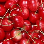 Dwarf Patio Summer Sun Cherry Fruit Tree 3-4ft Supplied In A 7.5 Litre Pot