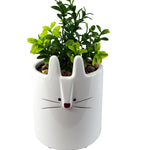 15cm Ceramic White Rabbit Planter