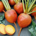 Burpees Golden Beetroot | 100 Seeds