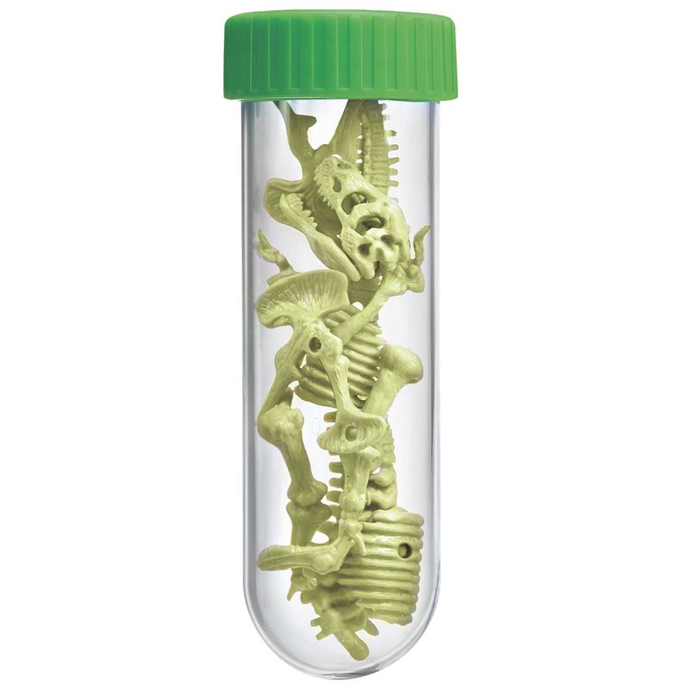 Kidzlabs - Glowing T-rex Skeleton