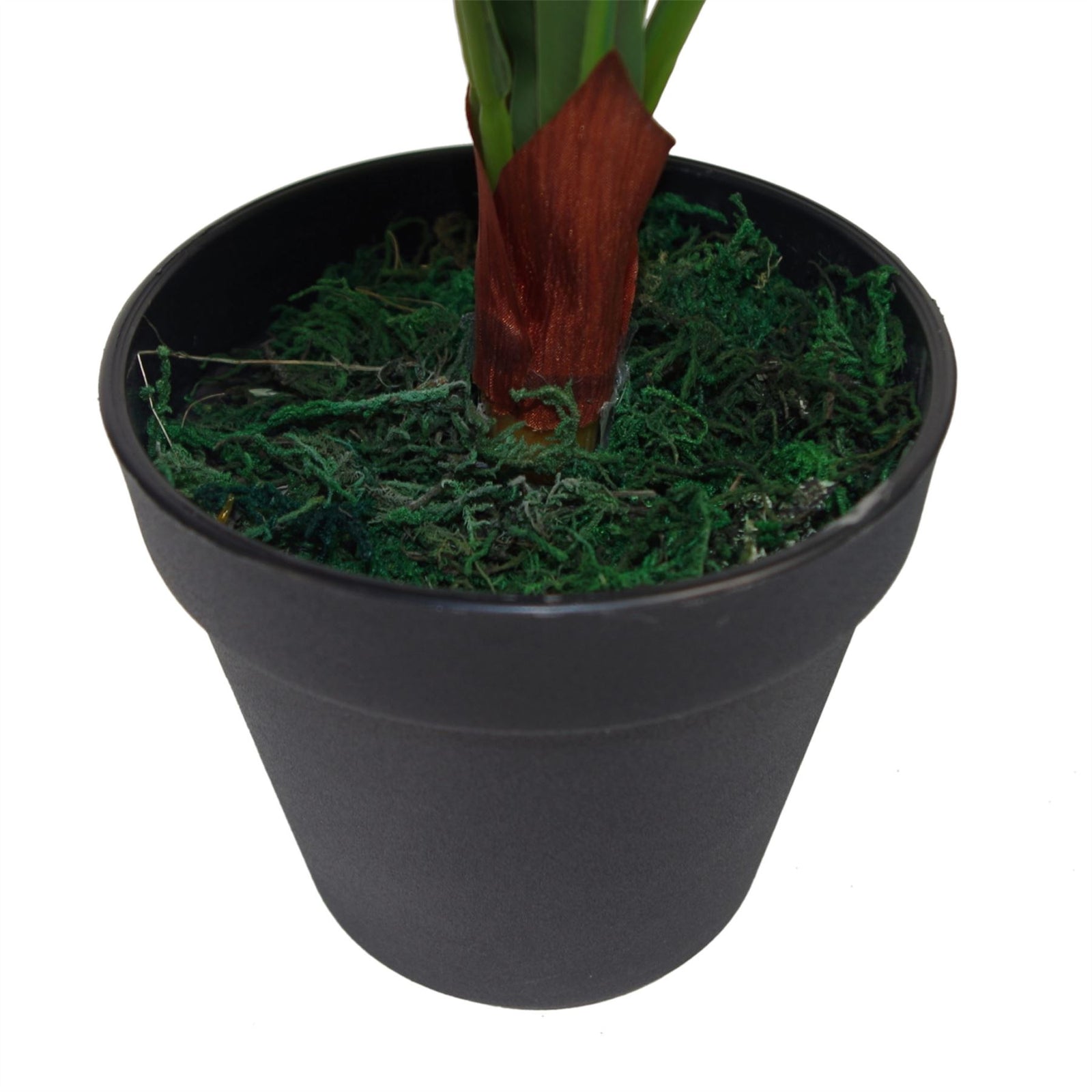 50cm Bushy Artificial Bird's Nest Fern Plant