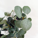 150cm Artificial Eucalyptus Tree Premium