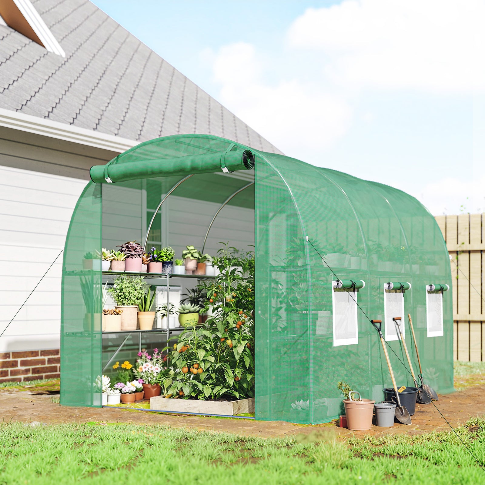 Walk-in Greenhouse With Shelves, Green House With Mesh Windows