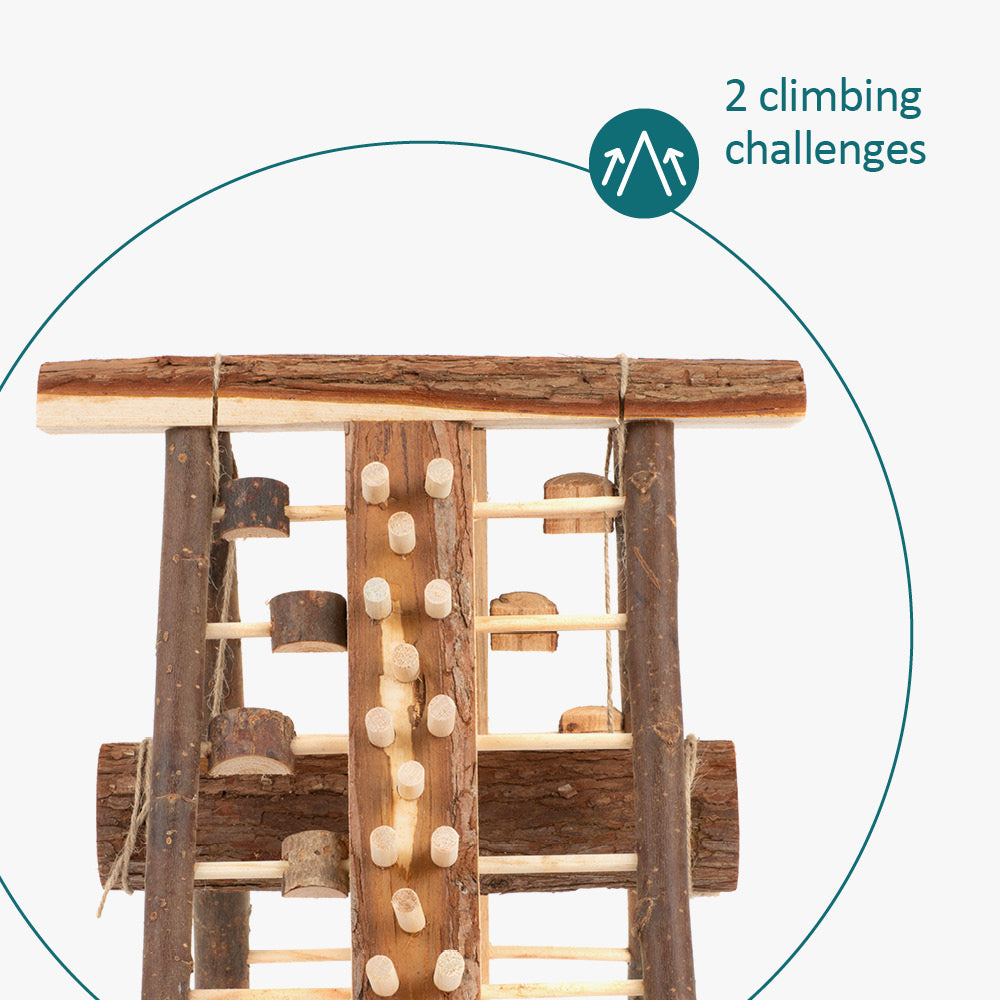 Hamster Wooden Climbing Wall