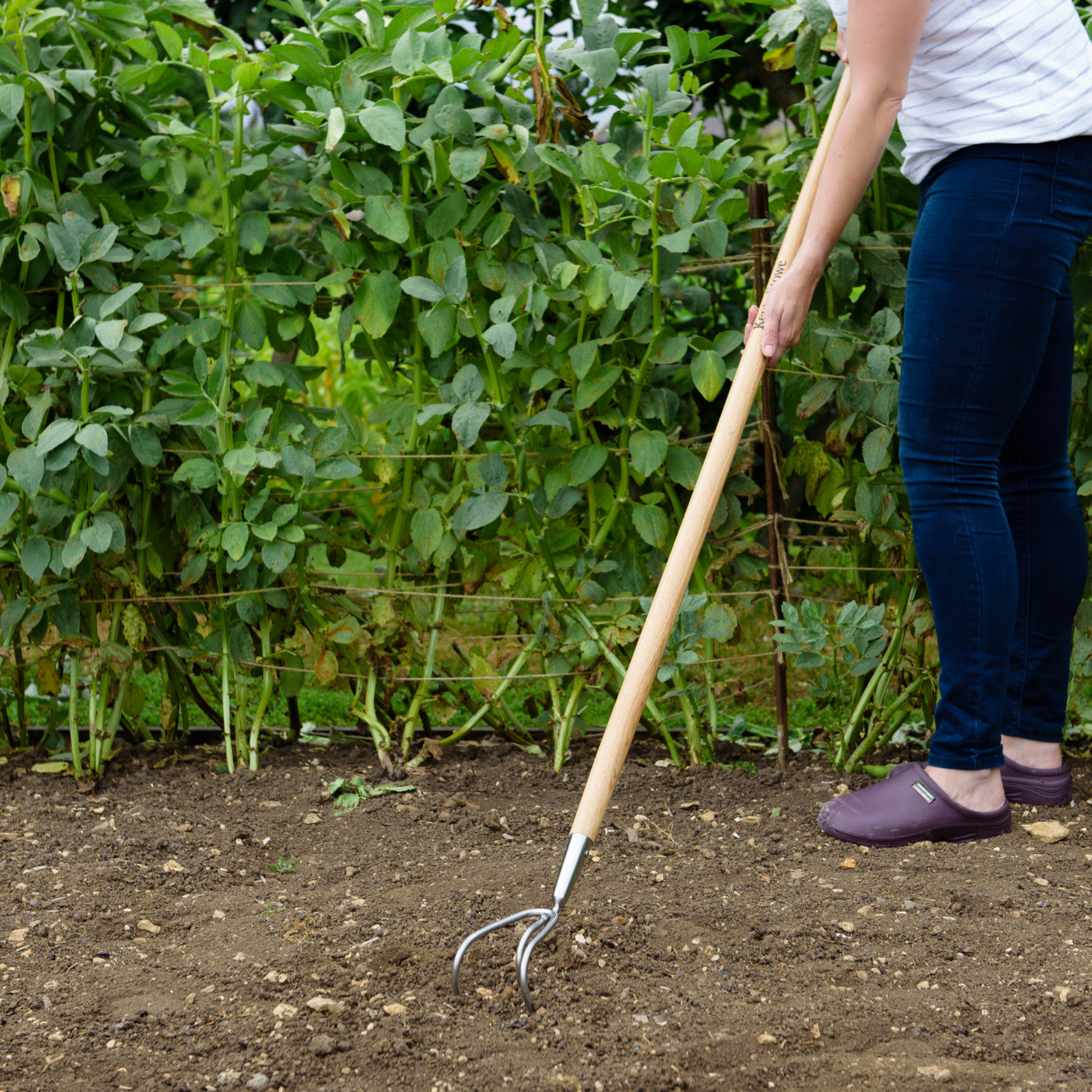 Stainless-steel Long-handled 3-prong Cultivator