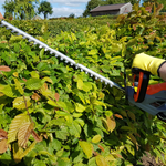 20v Cordless Hedge Trimmer Lightweight Handheld Garden Electric Hedge Li Ion 1hr Fast Charge Battery And Charger Included | 2 Batteries + 1 Charger | Grey