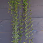 Pack Of 12 X 120cm Artificial Hanging String Of Pearls