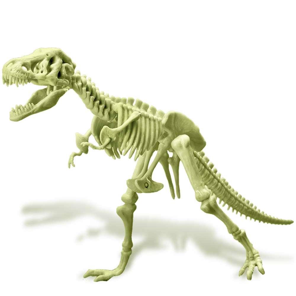 Kidzlabs - Glowing T-rex Skeleton