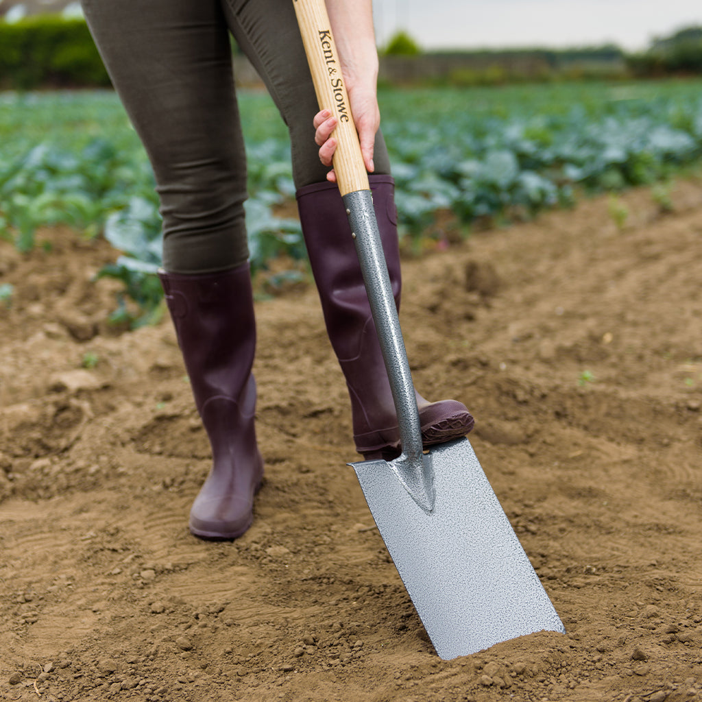 Carbon Steel Digging Spade, Ash Handle, 10-year Guarantee