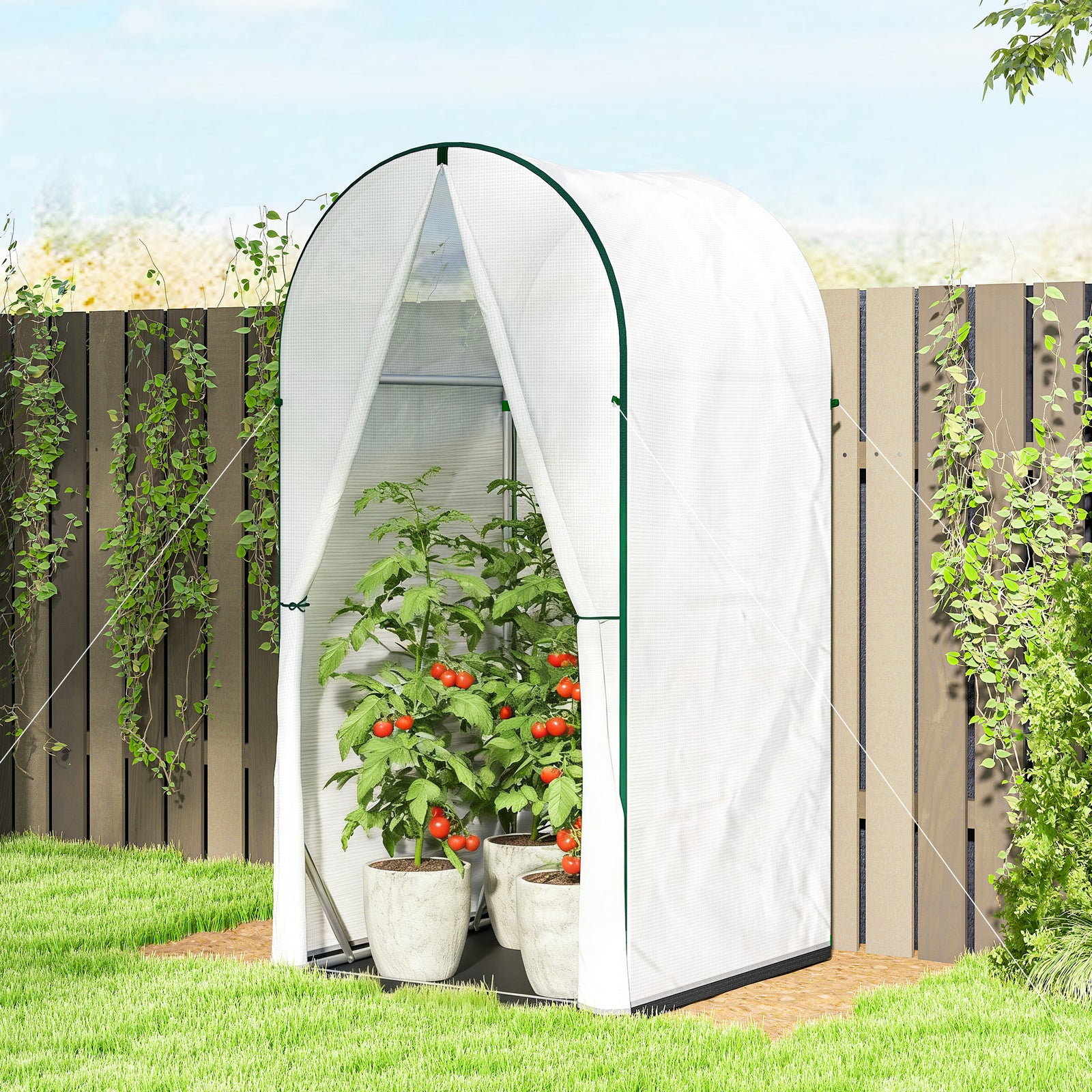 Outsunny Mini Greenhouse, Small Greenhouse With Pe Base, White