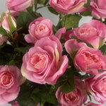 60cm Artificial Rose Bush Premium Pink Silk Flowers And Leaves