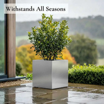 Zinc Galvanised Square Planter | 50cm x 50cm x 50cm | Silver