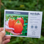 Super Mama Tomato - Compact Patio Variety Seeds | 15 Seeds