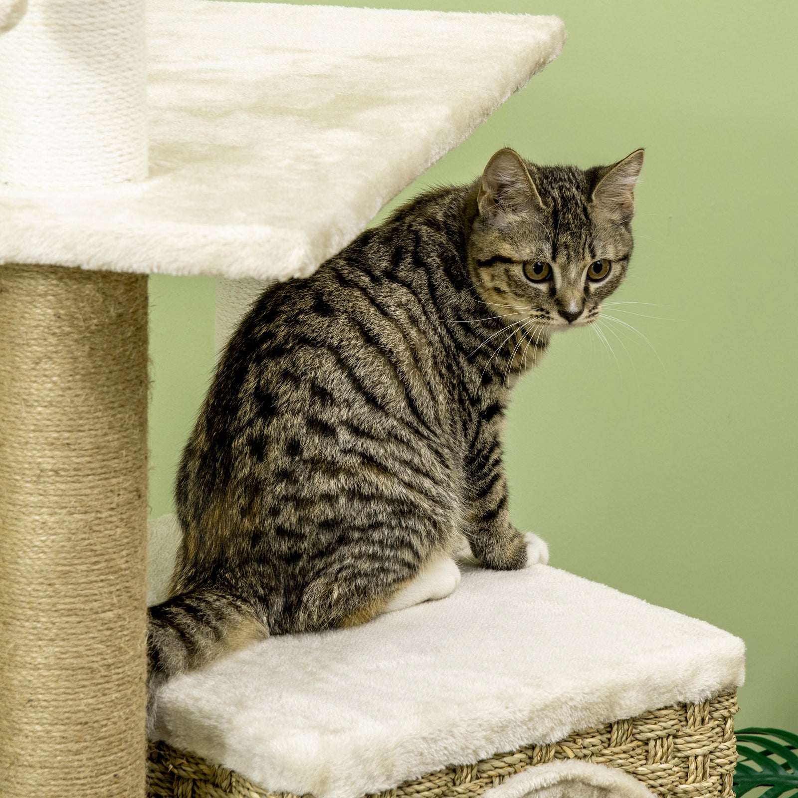 Cat Tree Climbing Tower W/ Scratching Post, Cat House, Hanging Toy Ball