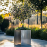 Zinc Galvanised Square Planter | 50cm x 50cm x 50cm | Silver
