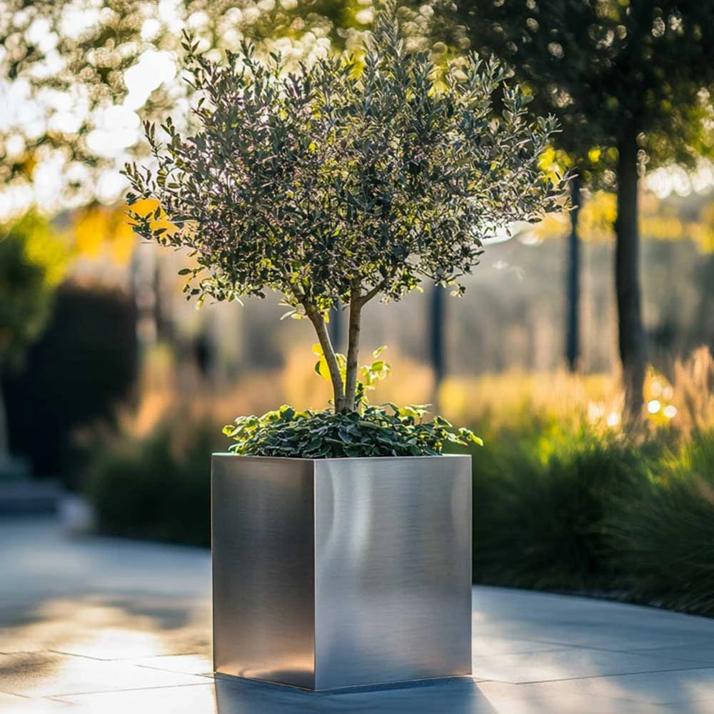 Zinc Galvanised Square Planter | 50cm x 50cm x 50cm | Silver