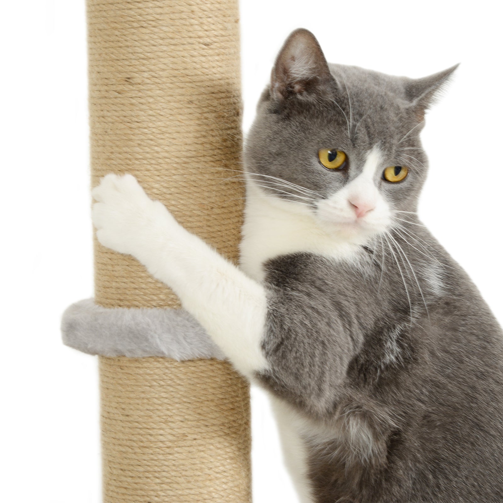 4 Piece Cat Shelves W/ Scratching Post, Steps, Jumping Platform