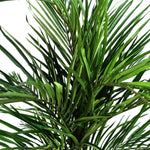 Areca Palm Artificial Tree 130cm  - Realistic Plant By Botanik