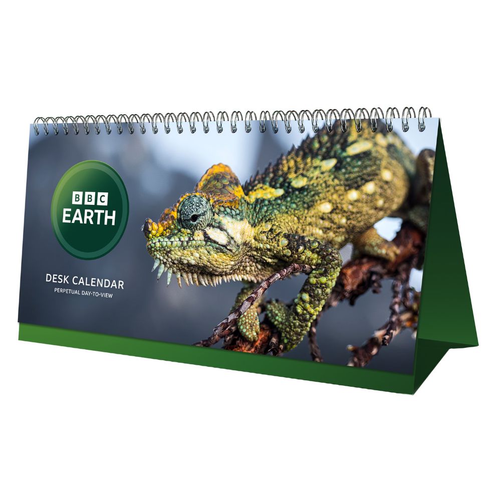 Perpetual Desk Calendar Official Product