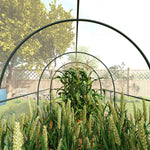Polytunnel Greenhouse W/ Clear Cover 3x2x2m