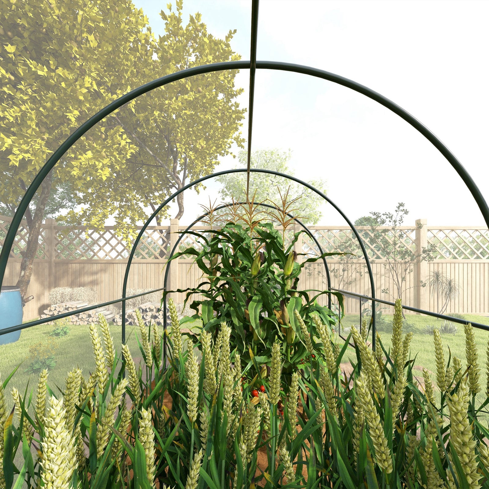 Polytunnel Greenhouse W/ Clear Cover 3x2x2m