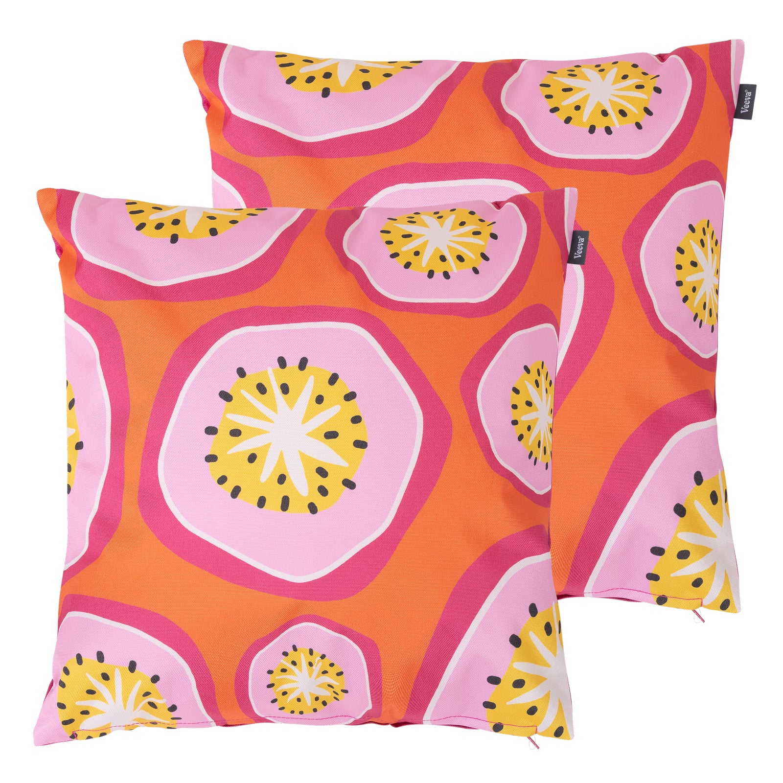 Fruit Print Set Of 2 Outdoor Cushion