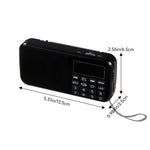 Rechargeable Battery-powered Portable Digital Radio Speaker