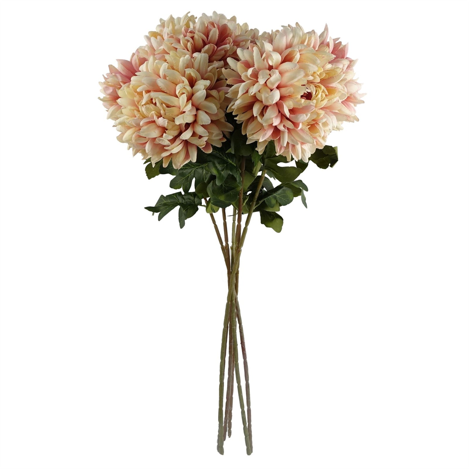 Pack Of 6 X 75cm Extra Large Reflex Chrysanthemum - Pink