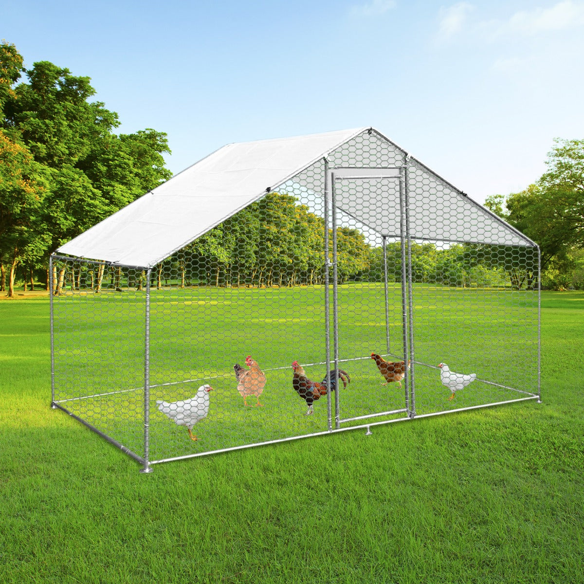 Chicken Run 4m X 2m X 2m | 4m x 2m x 2m | Green