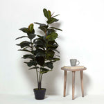 Artificial Green Handcrafted Ficus Rubber Plant In Pot, 130 Cm