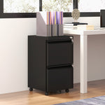 Steel File Cabinet With Lock Hanging Bar For Letter A4 | One Size | Black