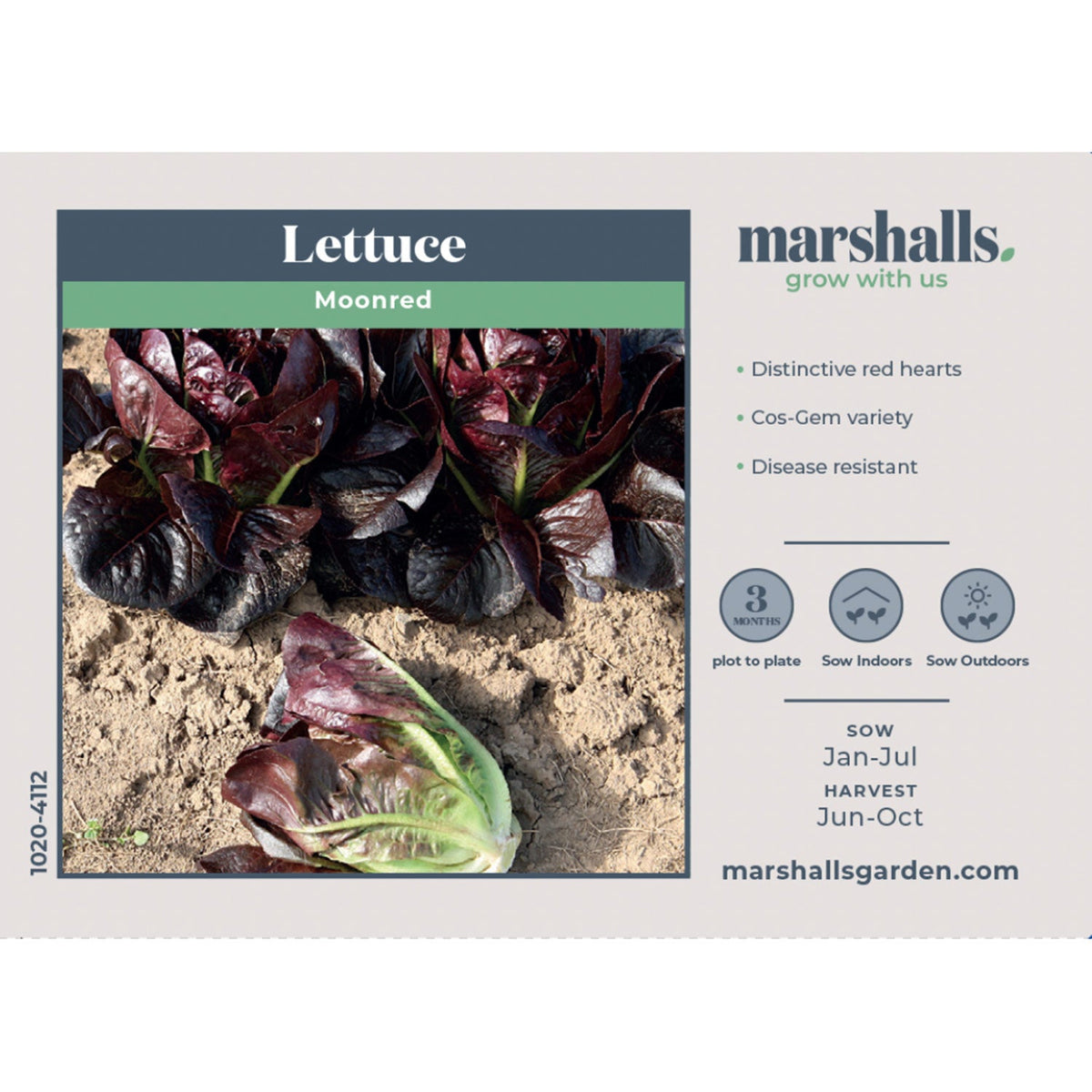 Lettuce Seeds Moon Red Little Gem | 250 Seeds