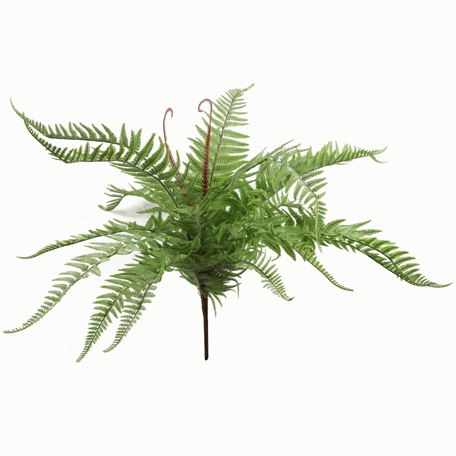 Artificial 60cm Bushy Dixie Wood Fern Light Green Plant