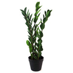 Artificial 75cm Zanzibar Green Gem Zamioculcas Succulent Indoor Plant
