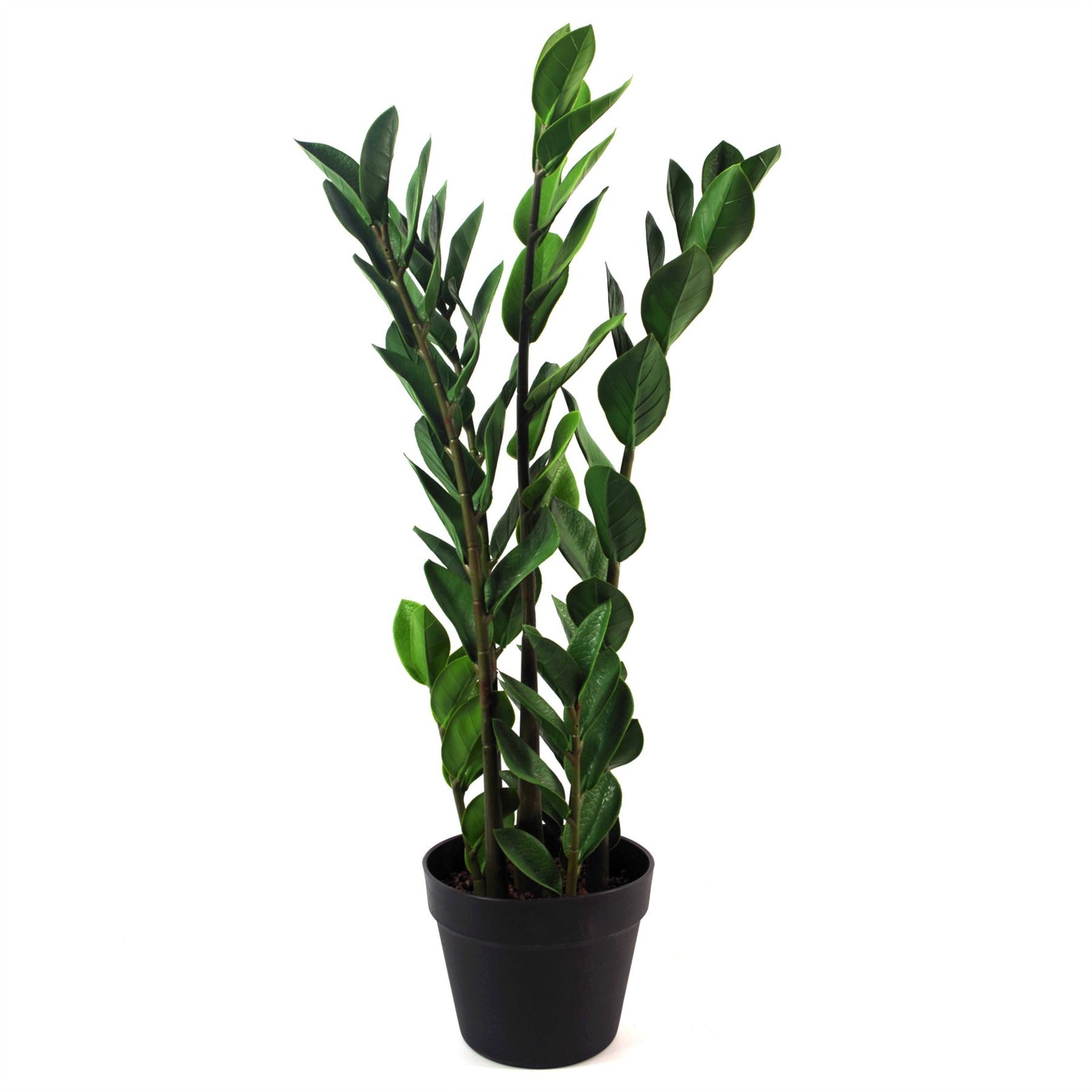 Artificial 75cm Zanzibar Green Gem Zamioculcas Succulent Indoor Plant