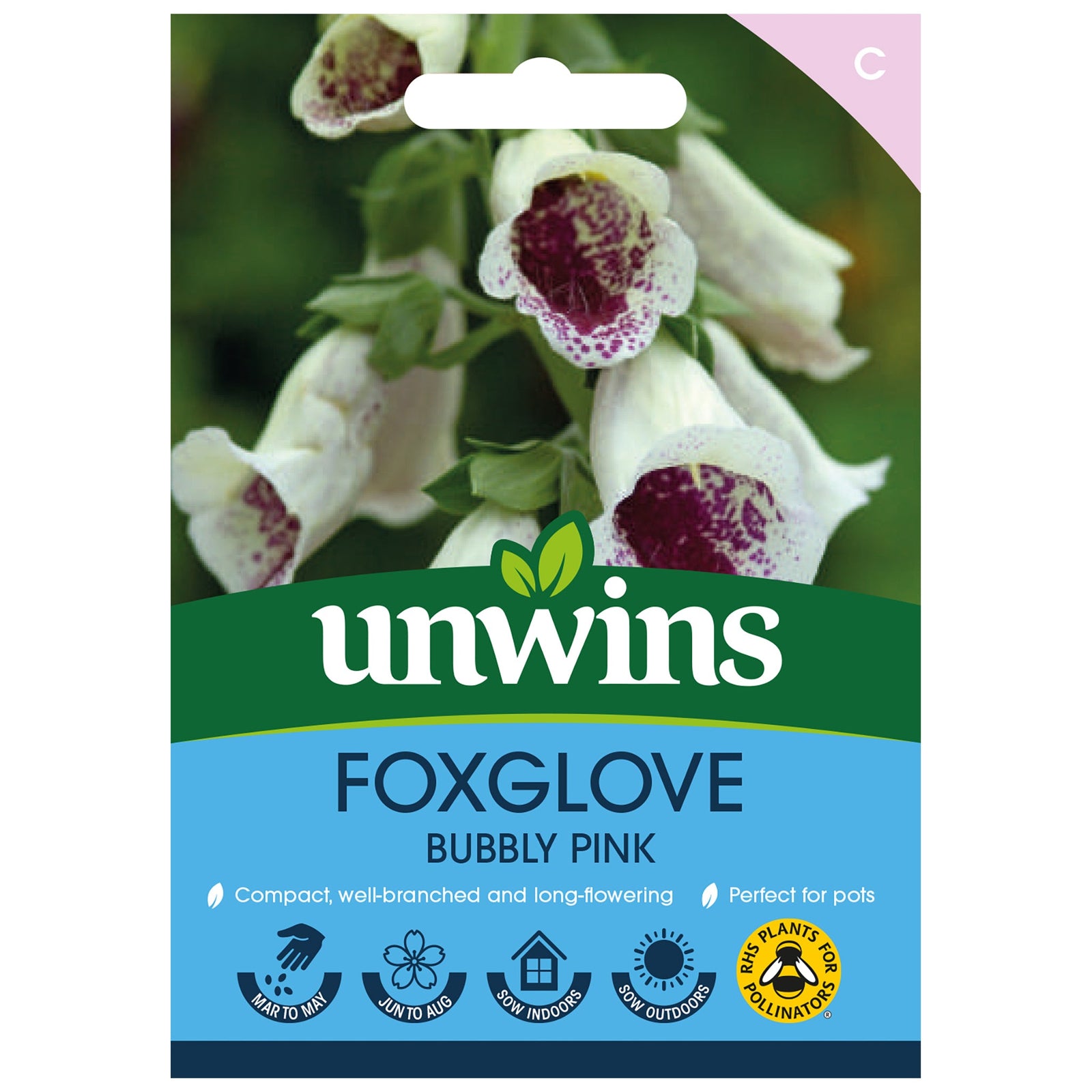 Foxglove 'bubbly Pink' F1 Seeds | 12 Seeds
