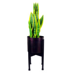 Leaf Medium Black Stand With Silver Metal Planter 38.5cm X 18cm