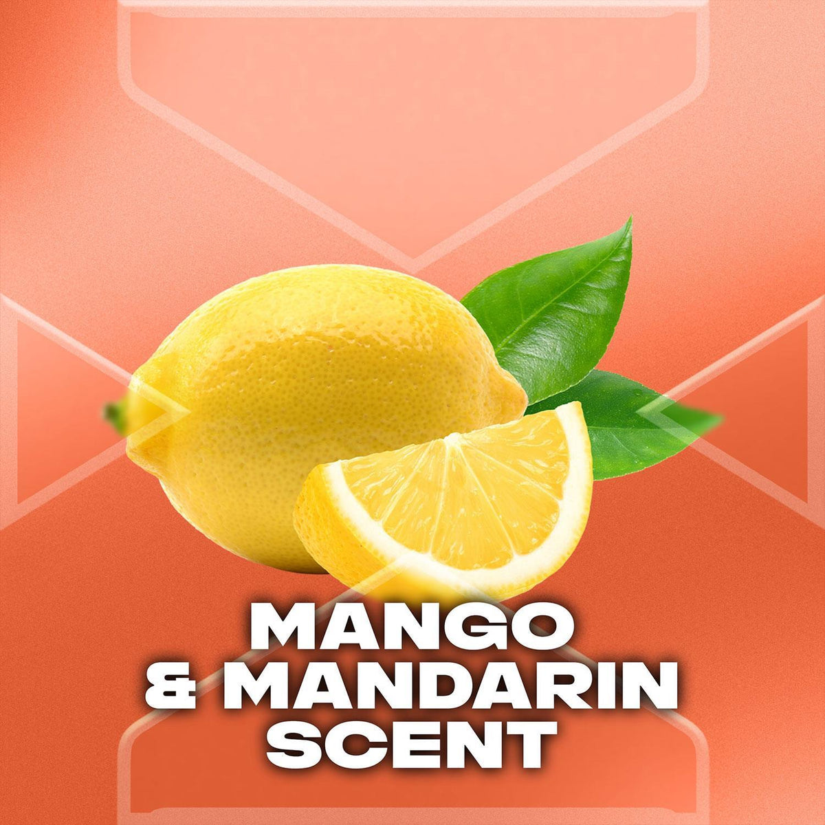 Sunset Fresh Body Wash 700ml Xxl 72h Sweat & Manwasher 2-sided Tool | Set of 6