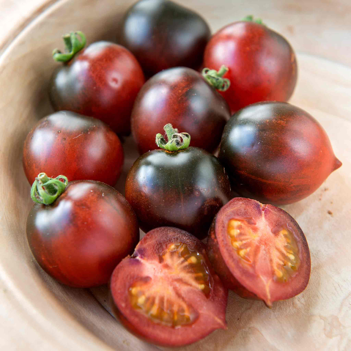 Indigo Cherry Drops Bush Tomato 9cm Plants | Set of 3