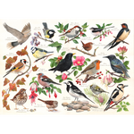 Birds In My Garden - 1000 Piece Jigsaw Puzzle For Adults