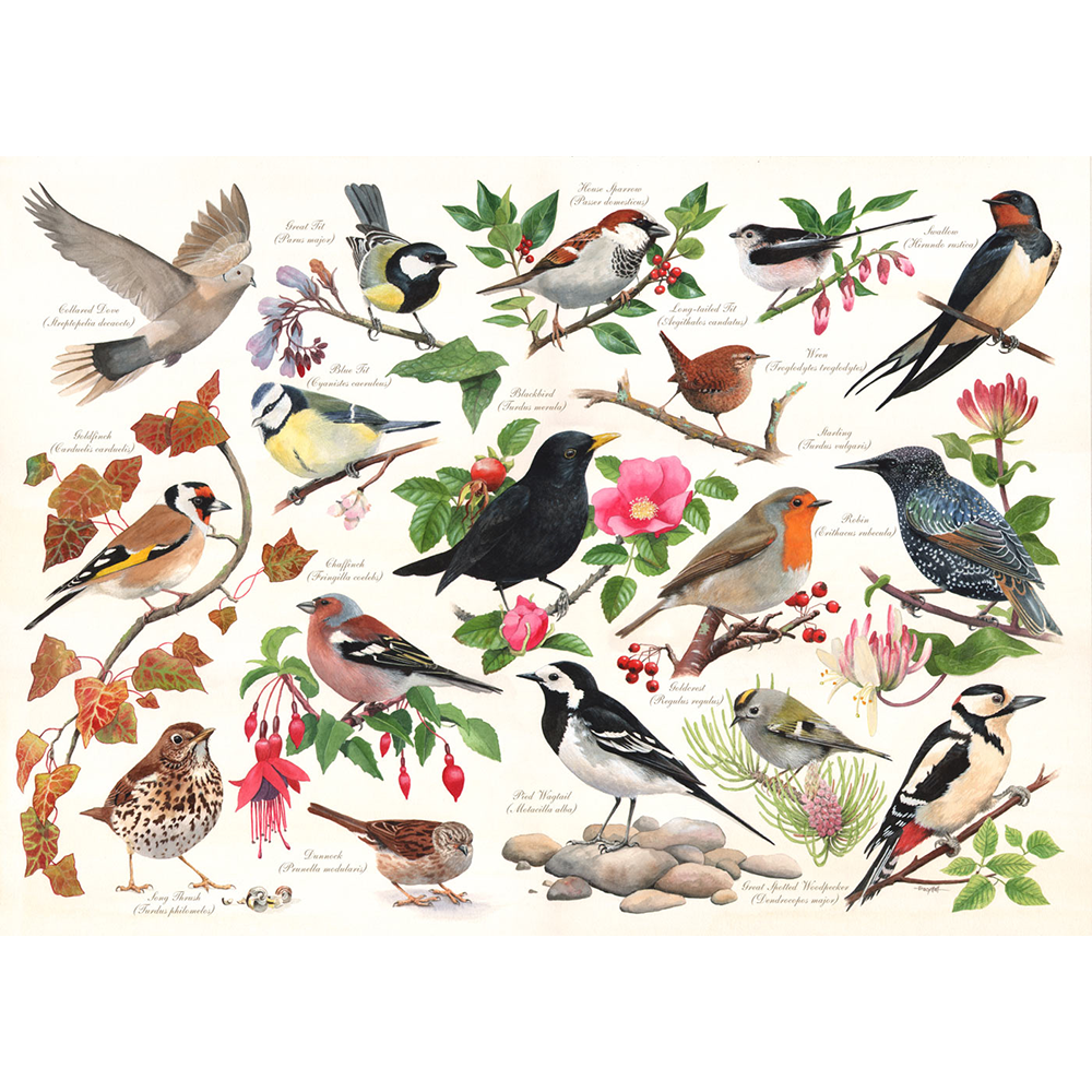Birds In My Garden - 1000 Piece Jigsaw Puzzle For Adults