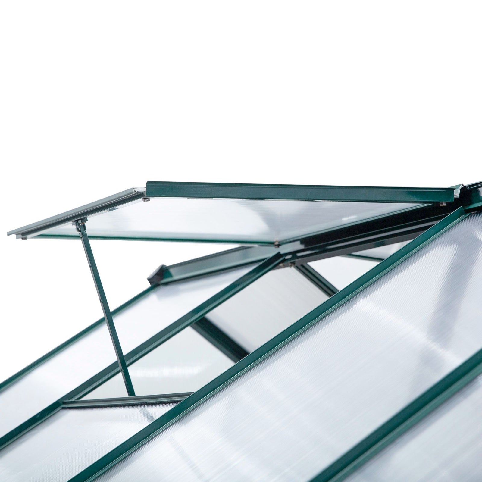 Polycarbonate Walk-in Greenhouse 6x10ft | Dark Green