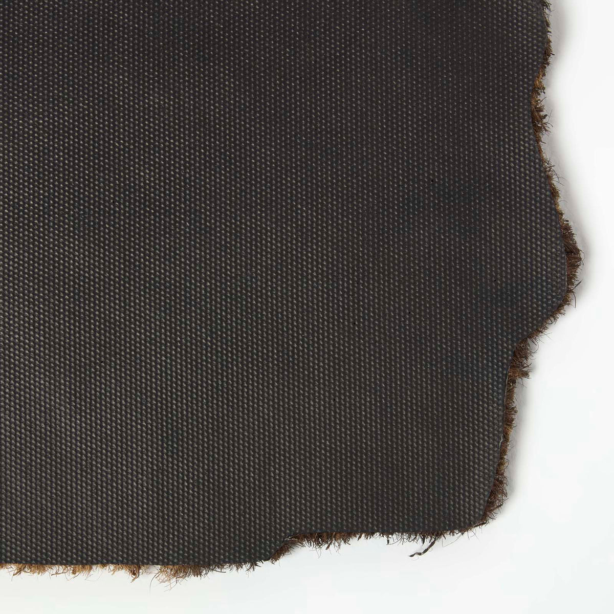 HOMESCAPES Coir Doormat Hedgehog, 41 X 75 Cm