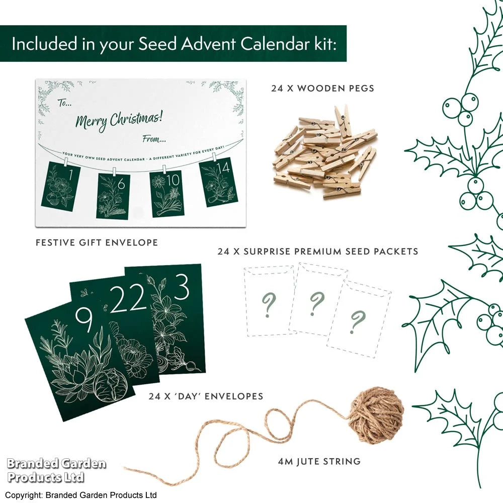 Diy Flower Seed Advent Calendar - Christmas